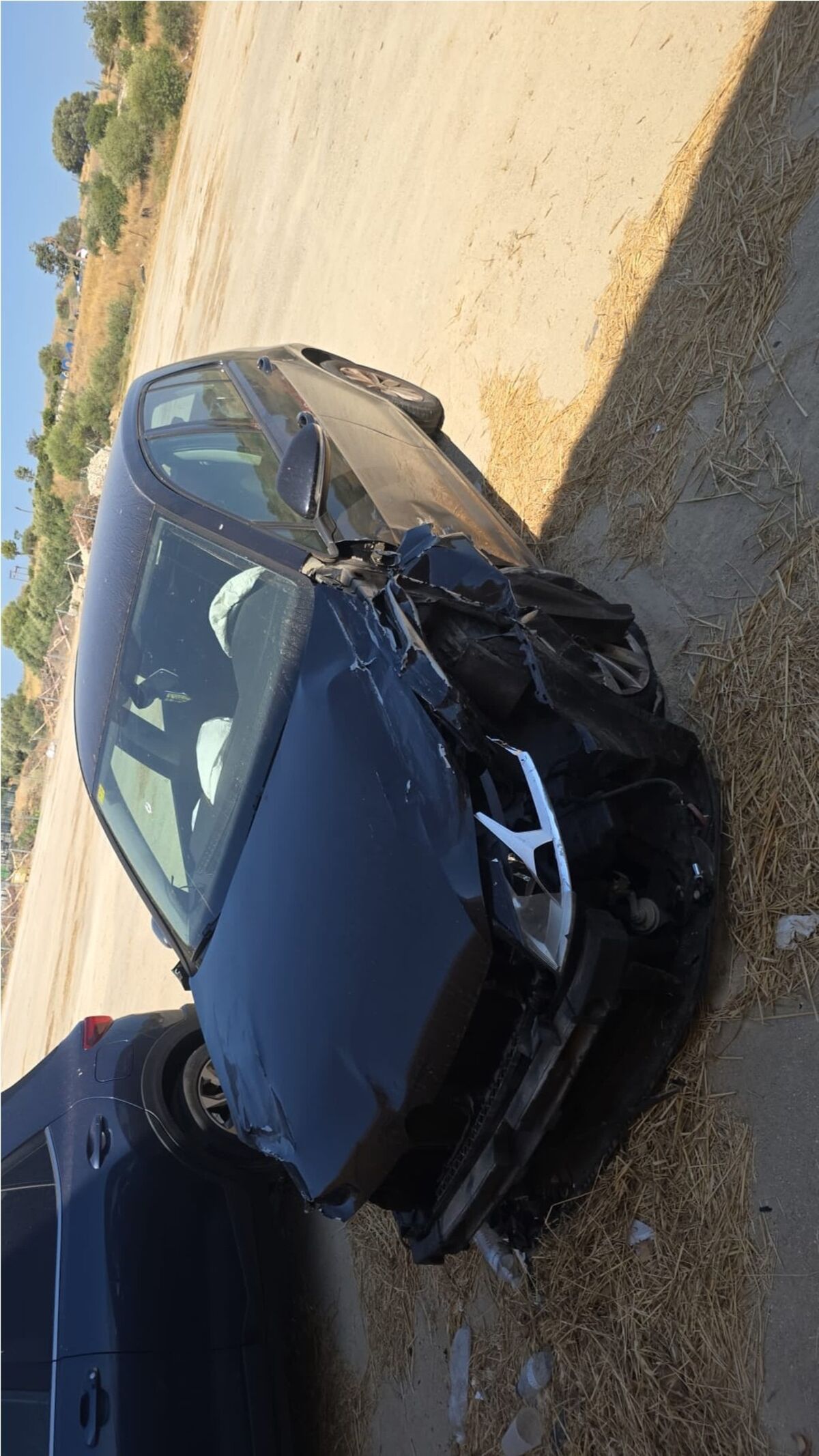 VII  1.6 TDi