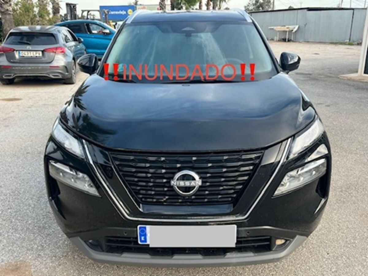 Torrevieja (alicante)