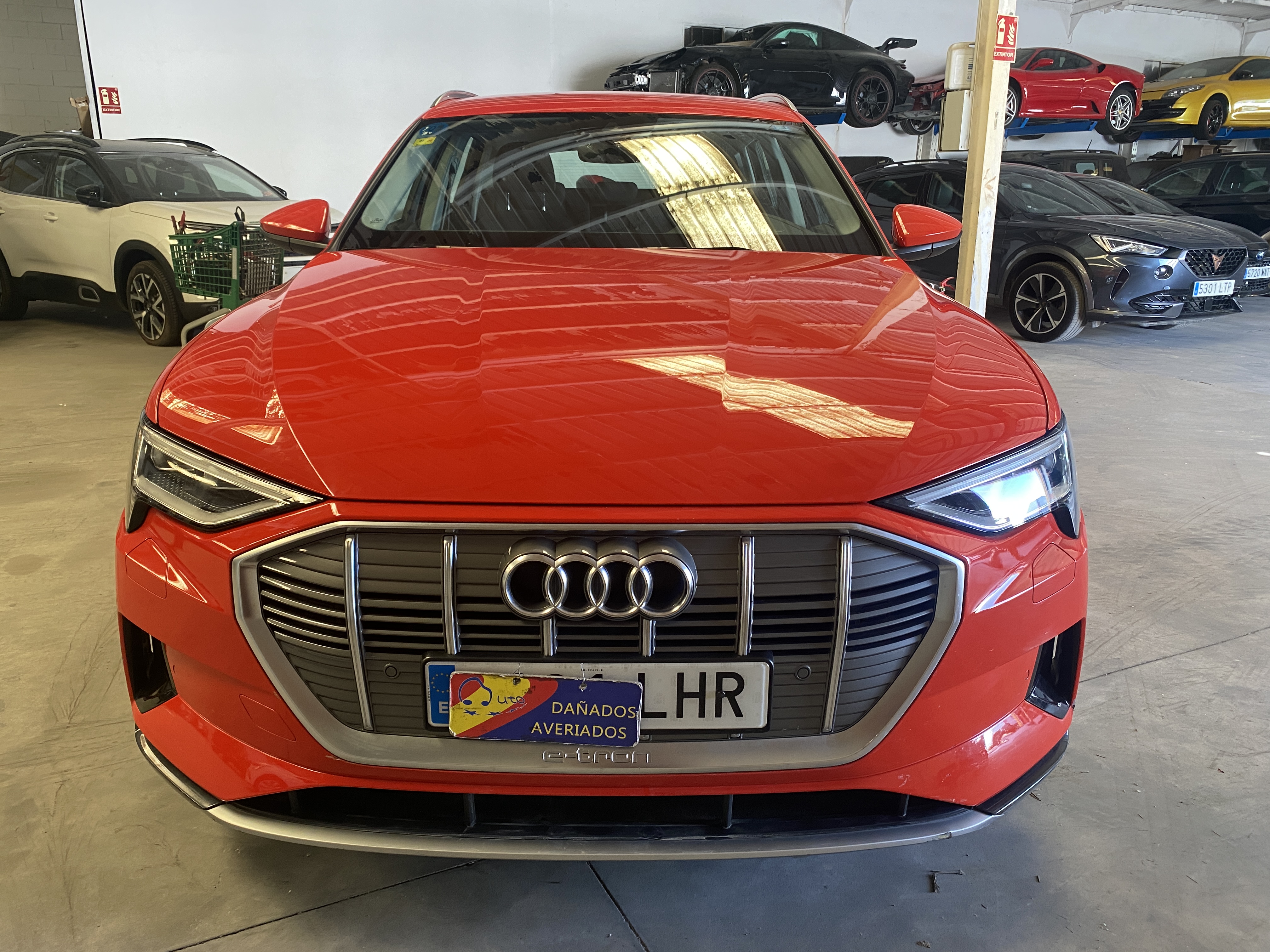 55 quattro