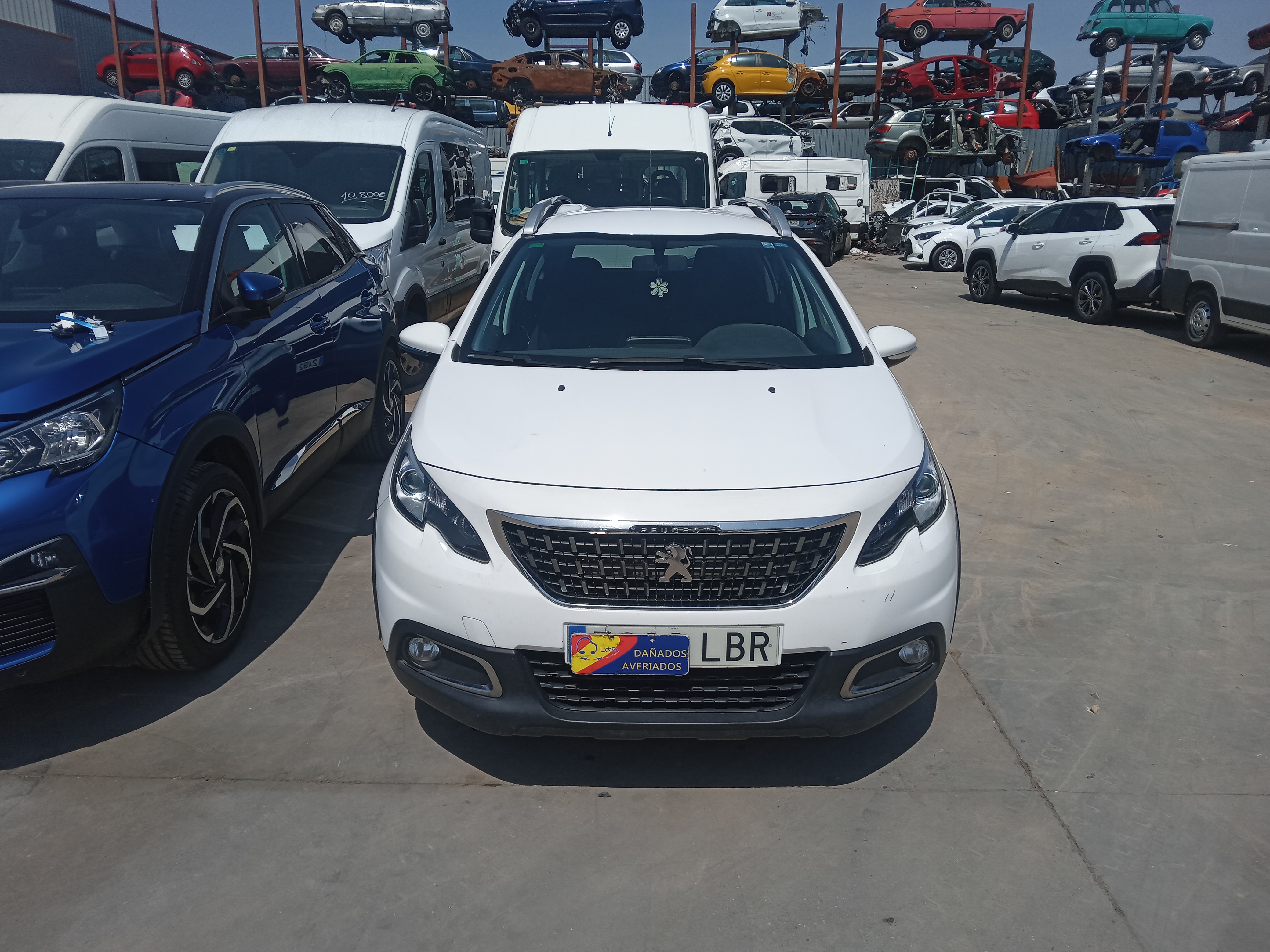 HDI 100CV