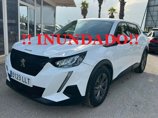Torrevieja (alicante)