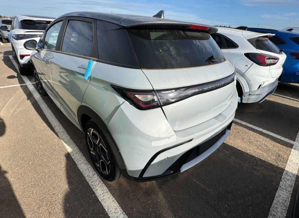 Byd dolphin desing arranca y anda por matricular