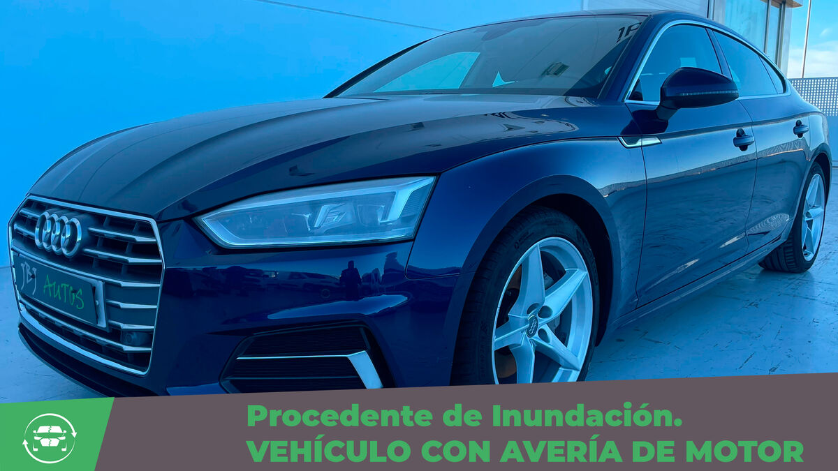 2.0 TDI 190 cv. S Tronic -Av. Motor- 14.990€