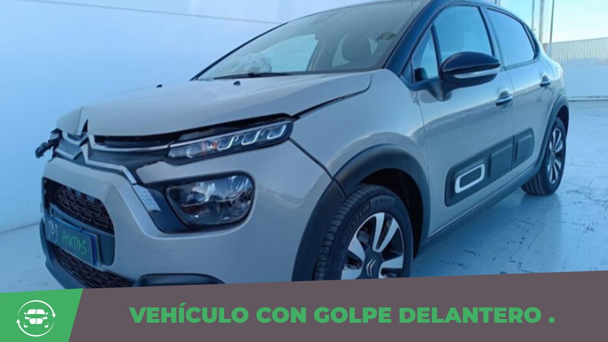 110 PURETECH SHINE 1.2 -Accidentado- 8.500€