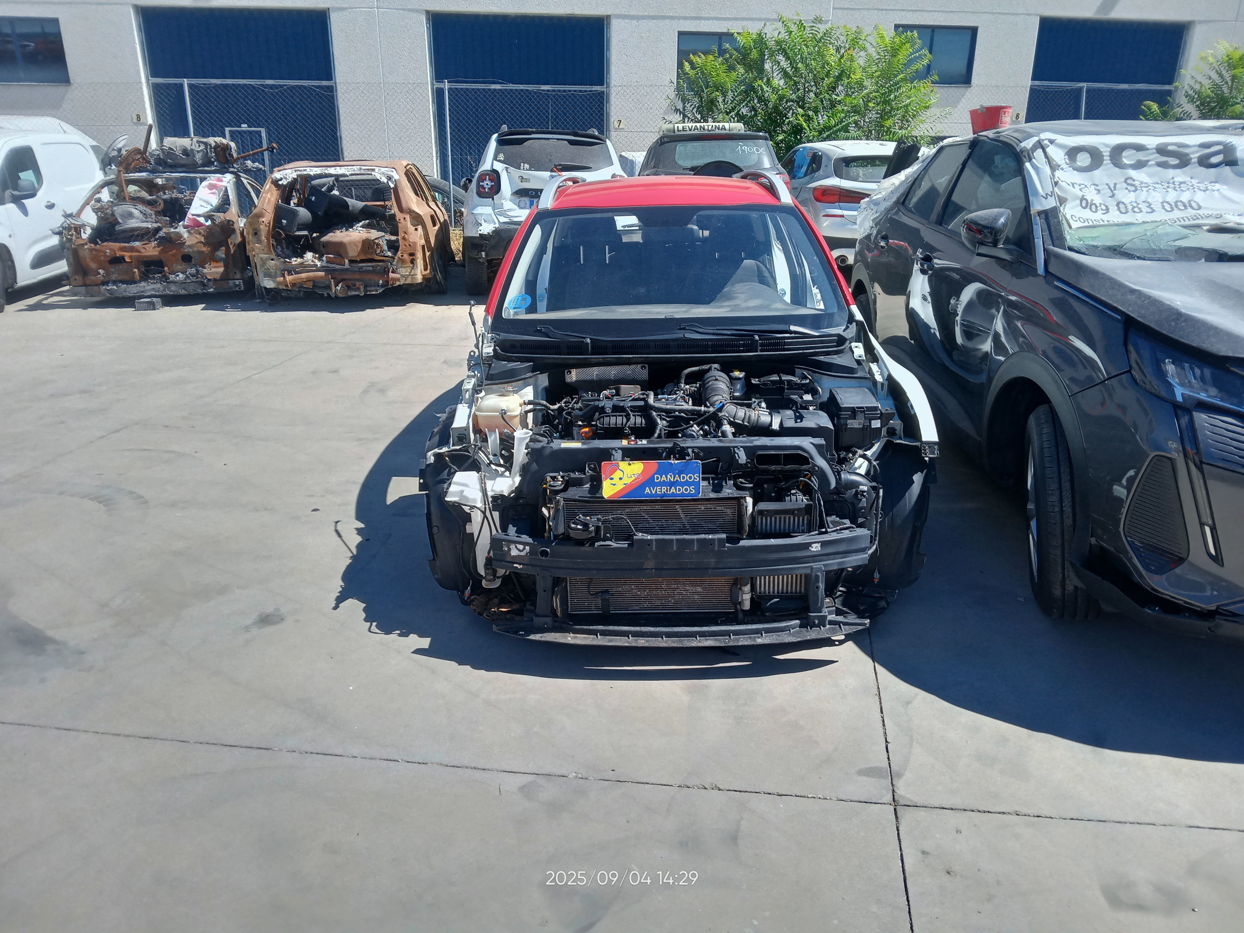 1.0TGDI 100CV MHEV