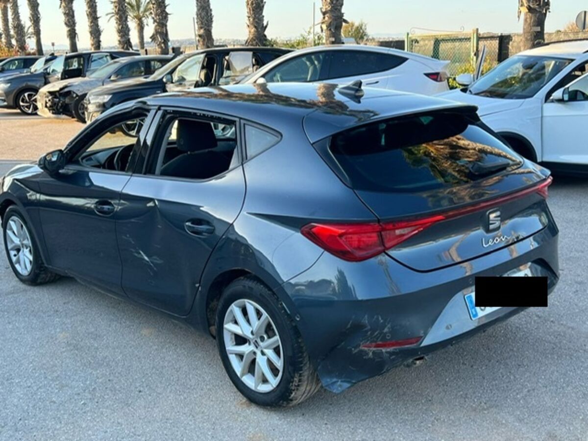 Torrevieja (alicante)