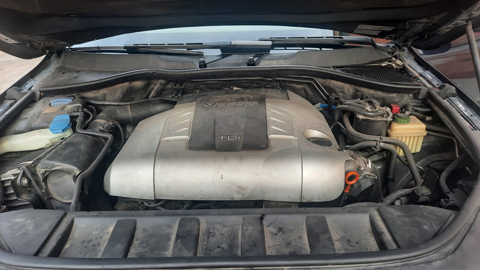 230CV
