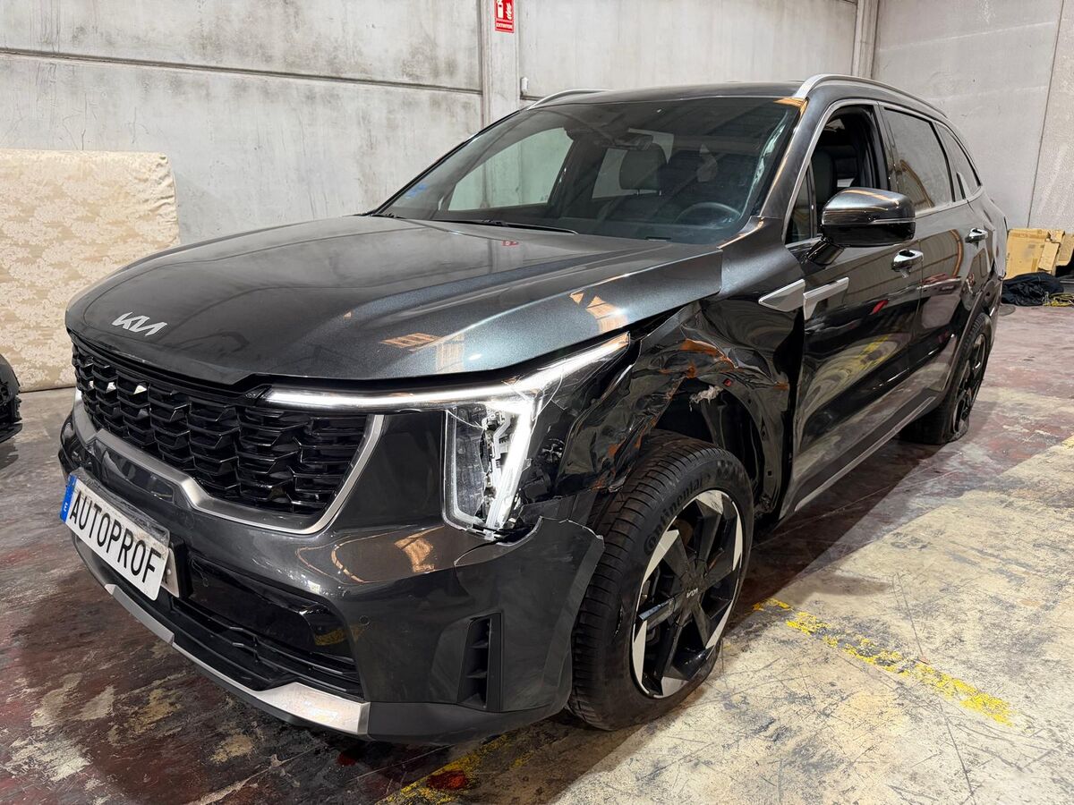 PHEV 1.6 T-GDI /2025