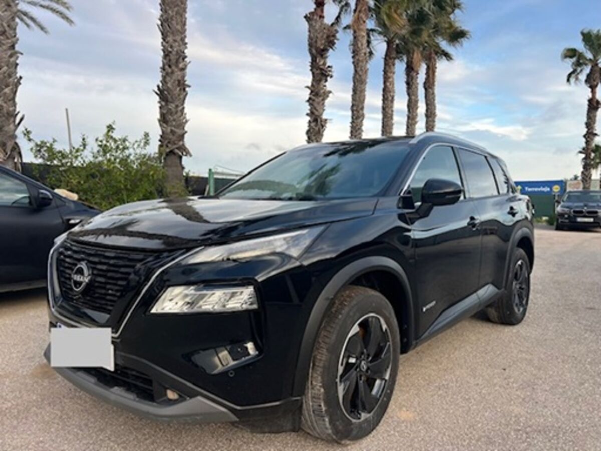 Torrevieja (alicante)