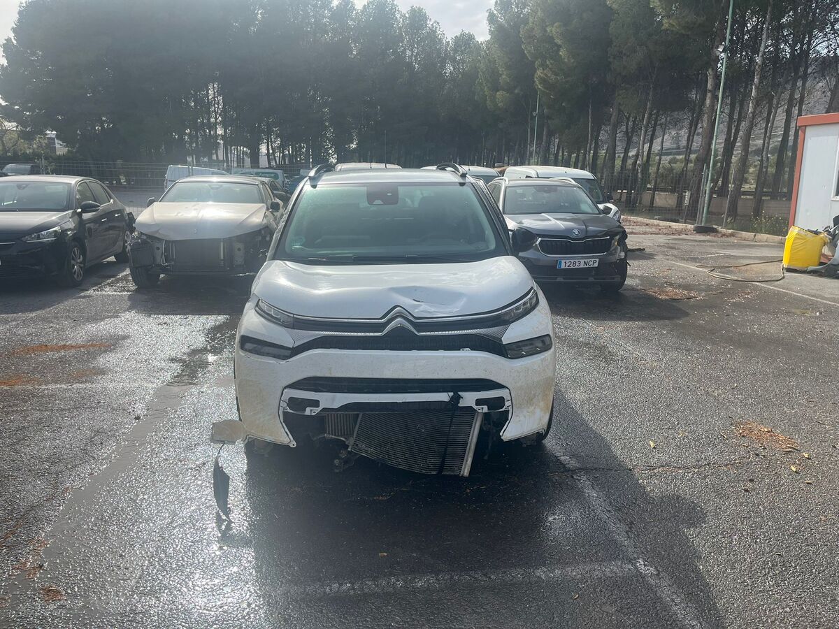 FILLPACK BLUEHDI 1.5 110CV 6V